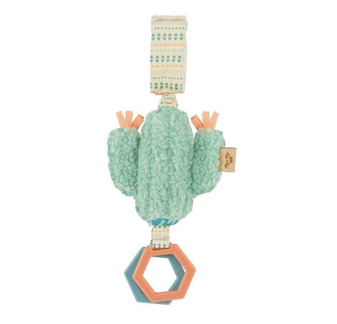 Cactus Detachable Travel Toy 🌵